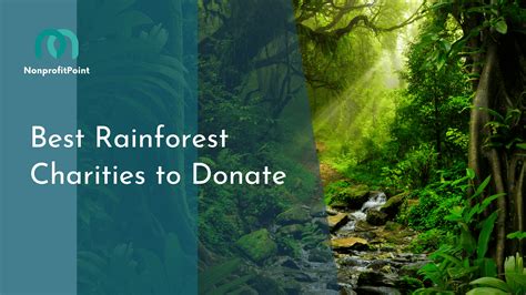 amazon rainforest charities|9 Best Charities for Protecting the Amazon Rainforest (Complete .